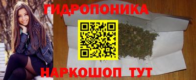 винт Михайловка