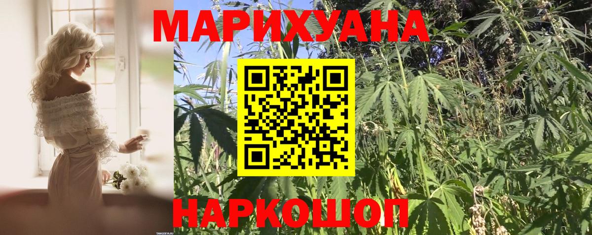 Бошки марихуана White Widow  Вход с VPN  МАРИХУАНА Amnesia  Каннабис гибрид  Хасавюрт 